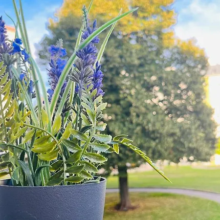 Lavender Appart Apartman