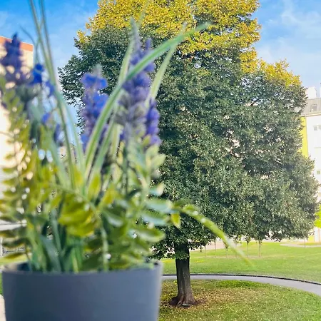 Apartman Lavender Appart *