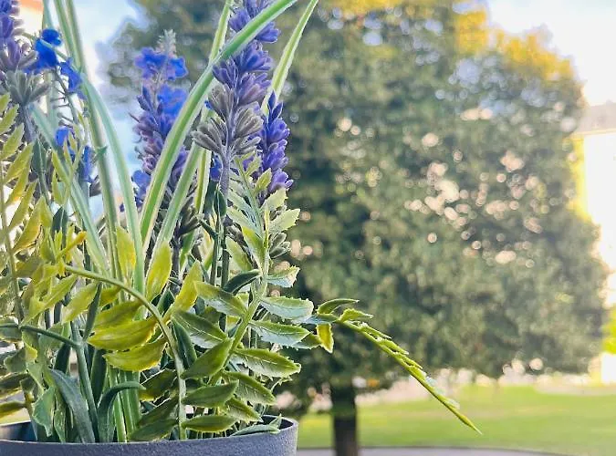 Lavender Appart Apartmán