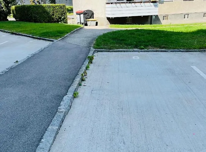 Lavender Appart Apartmán Linec