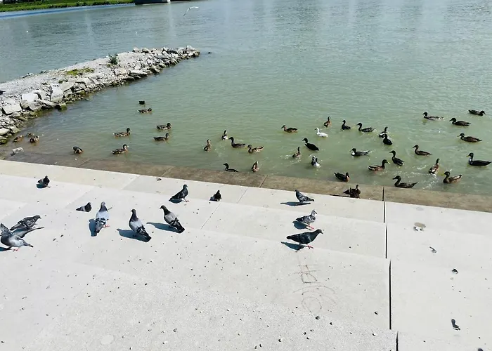 Lavender Appart Apartmán Linec