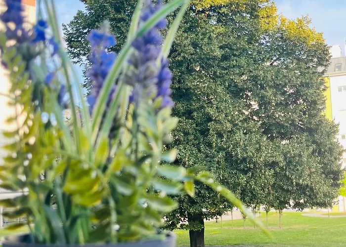 Апартаменты Lavender Appart *